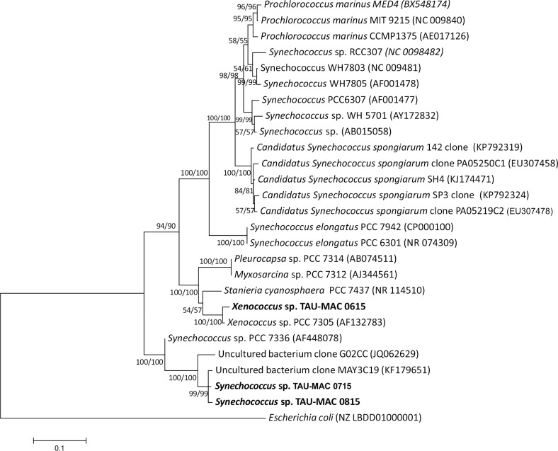 Fig 4