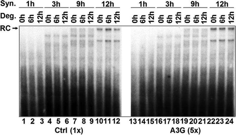 FIG. 6.