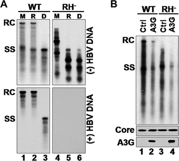 FIG. 7.