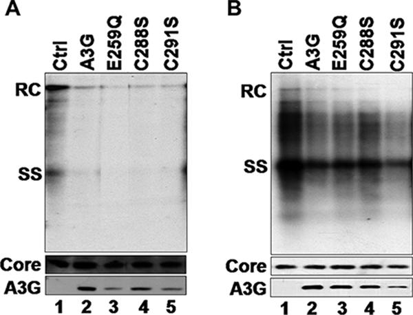 FIG. 4.