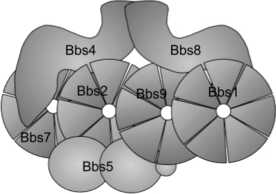 Fig. 1