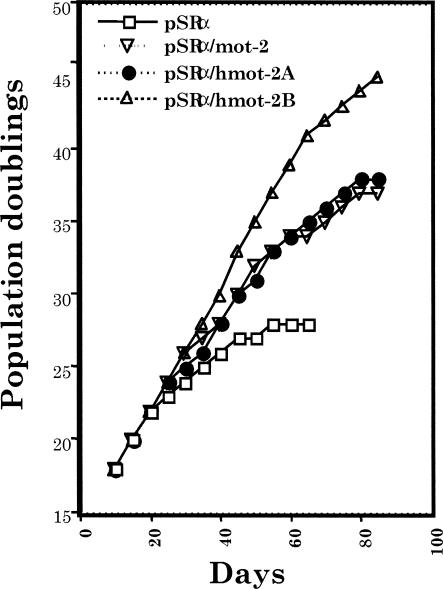 Fig 2.