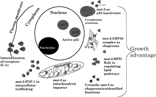 Fig 4.