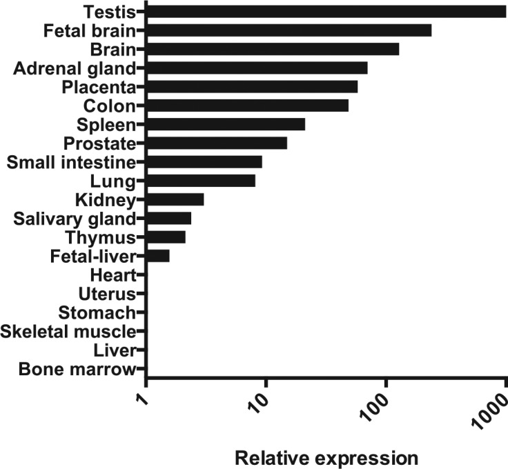 Figure 1.