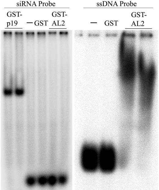 FIG. 5.