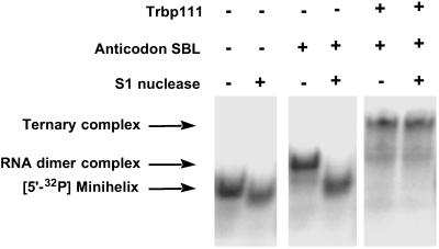 Fig 7.