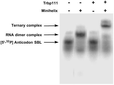 Fig 4.