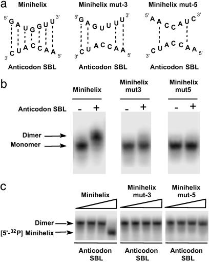 Fig 3.