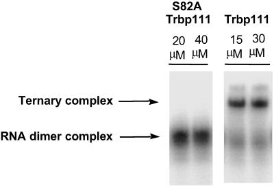 Fig 8.