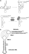 Fig 1.
