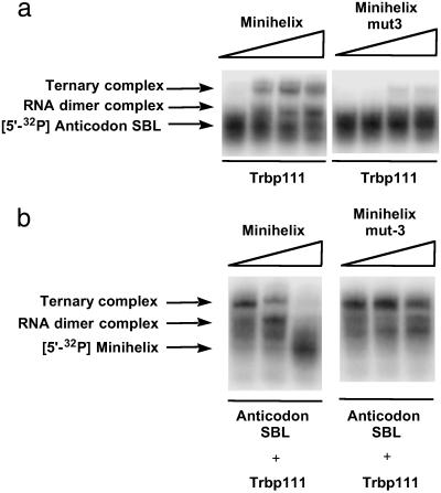 Fig 6.