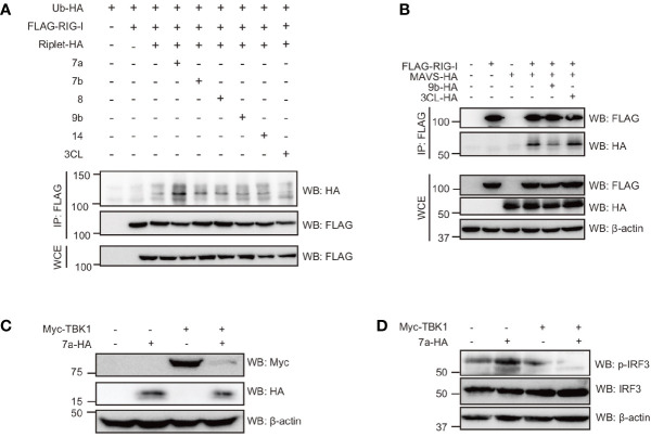 Figure 6