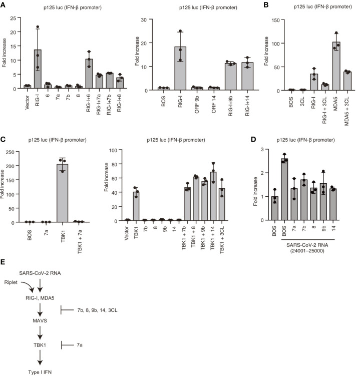 Figure 5