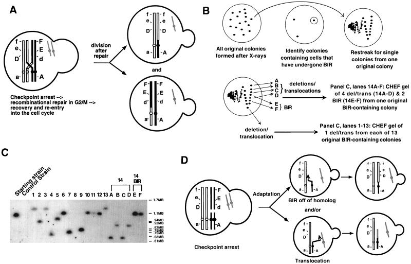 FIG. 4