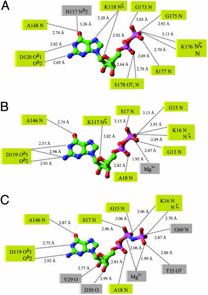 Fig. 7.