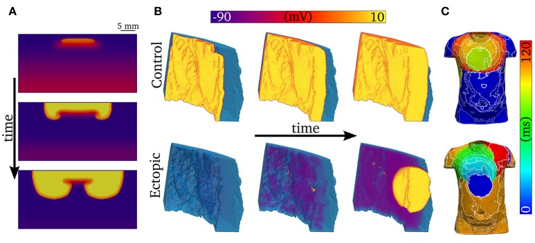 Figure 10