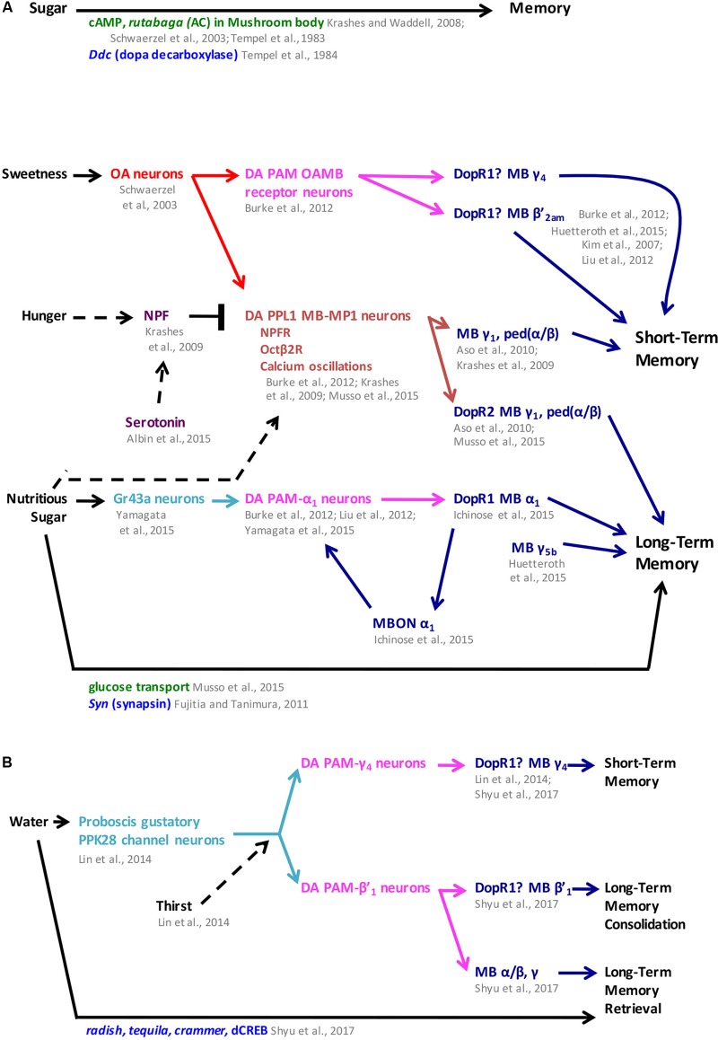 FIGURE 3