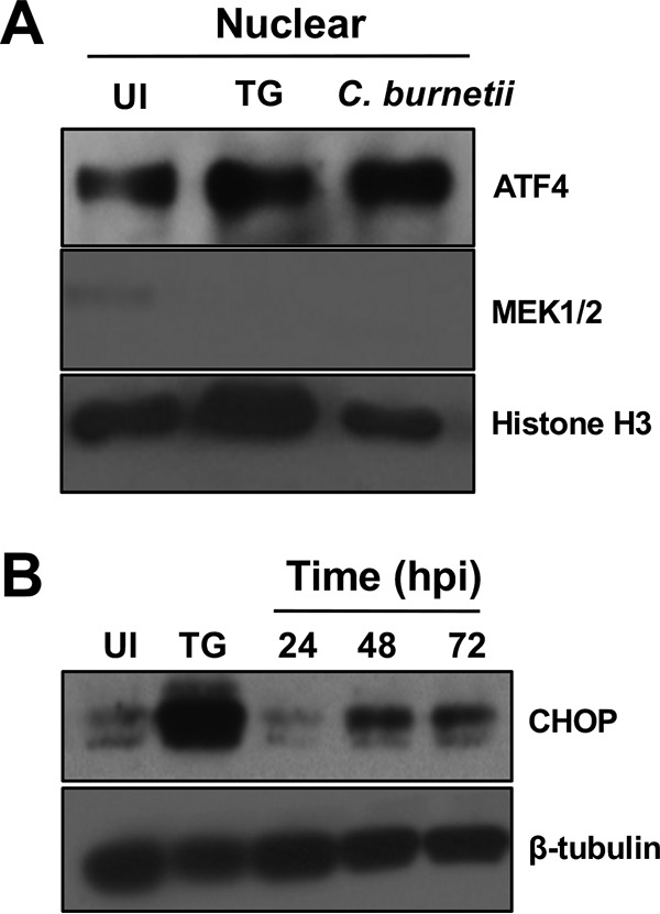 FIG 6