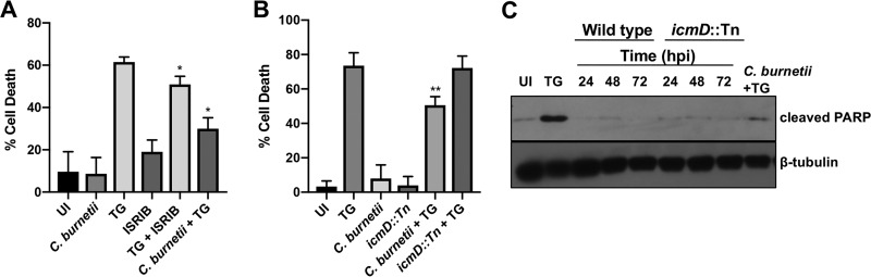 FIG 7