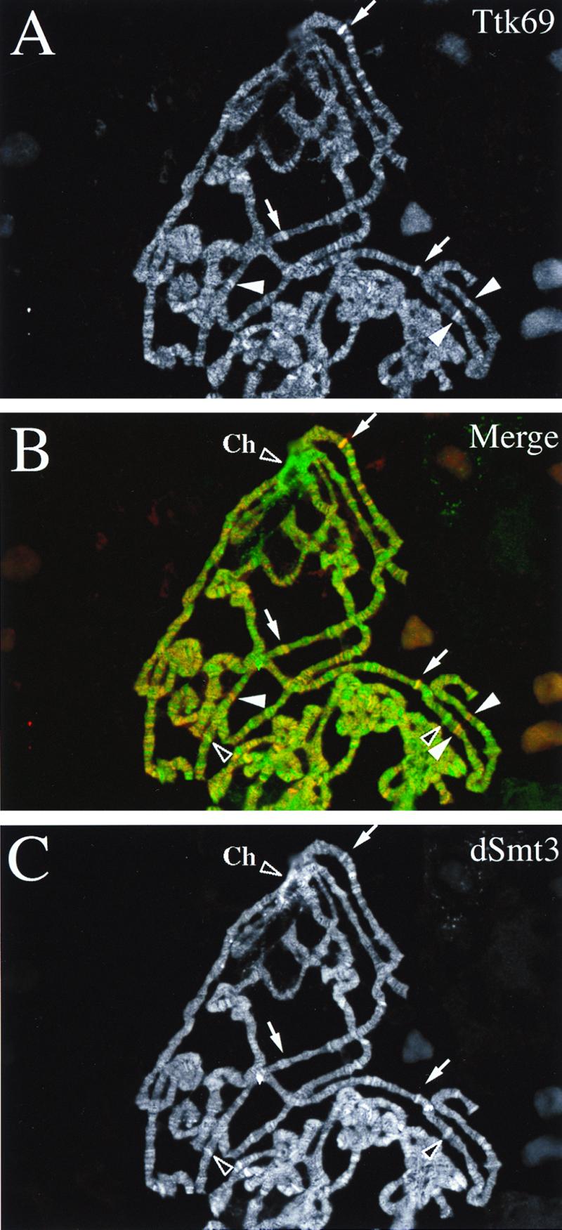 FIG. 8