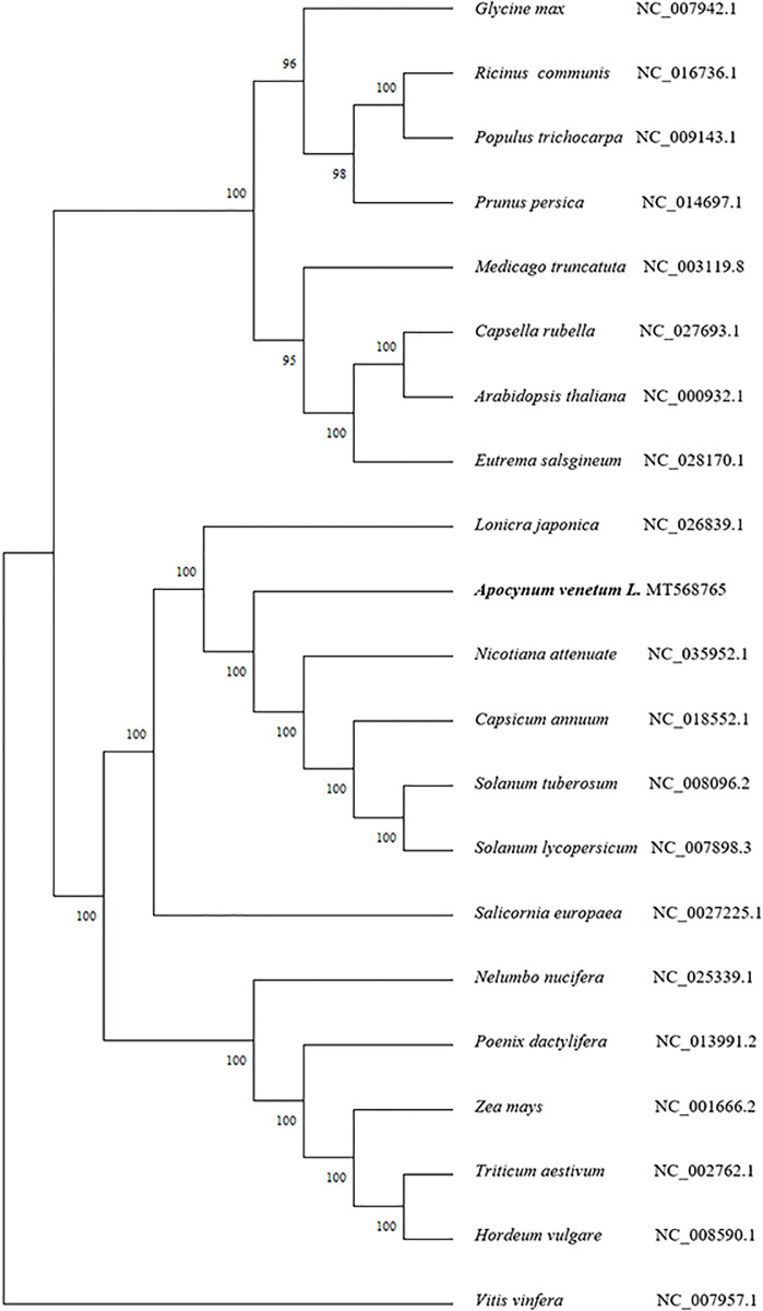 Fig 3