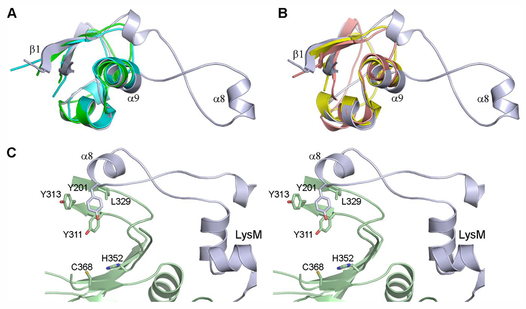 Figure 7.