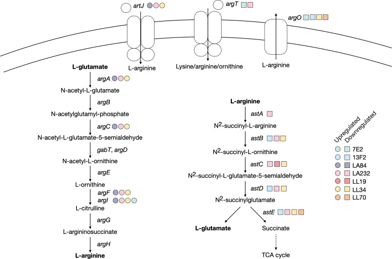 Fig 6