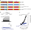 F<sc>IG</sc>. 5.