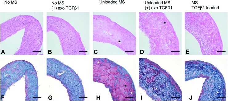 FIG. 8.