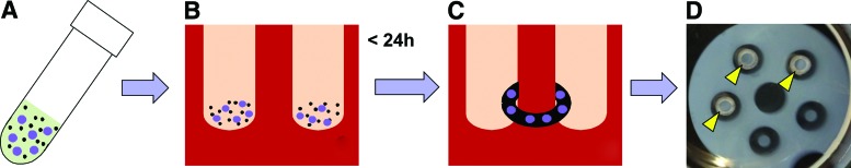 FIG. 1.