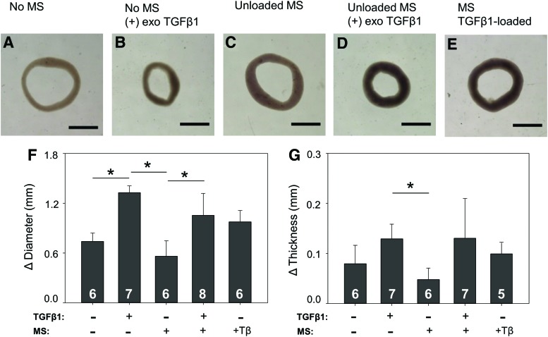 FIG. 9.