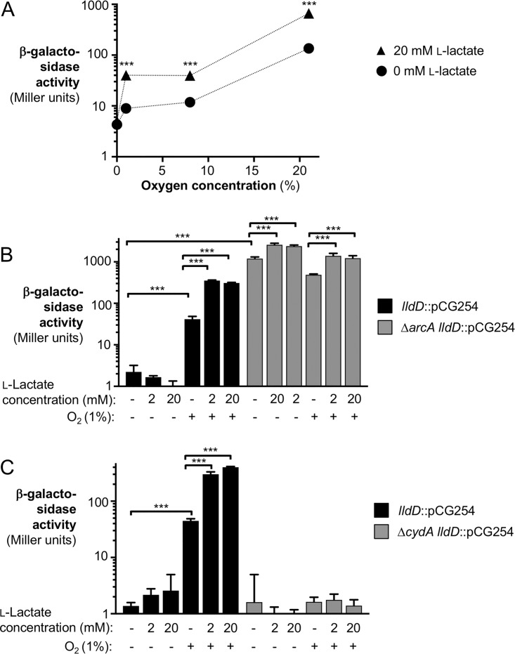 FIG 2