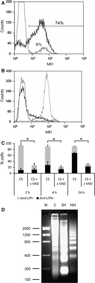 Fig. 4