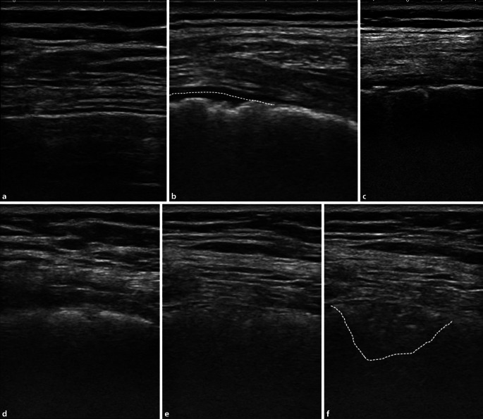 graphic file with name 10049_2020_767_Fig2_HTML.jpg