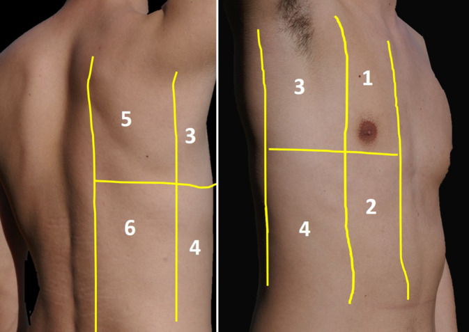 graphic file with name 10049_2020_767_Fig1_HTML.jpg