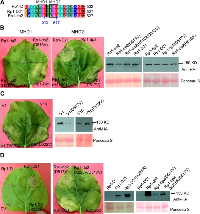 Fig 4