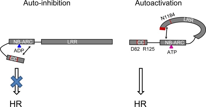 Fig 11