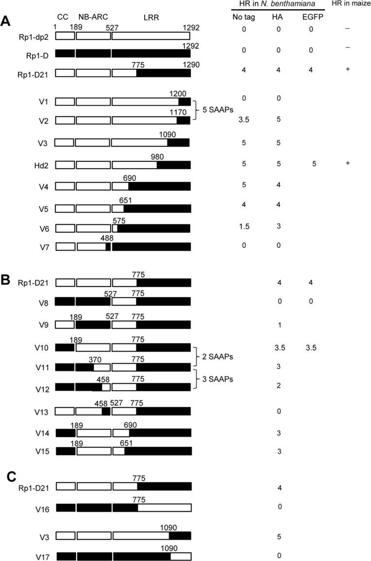 Fig 6