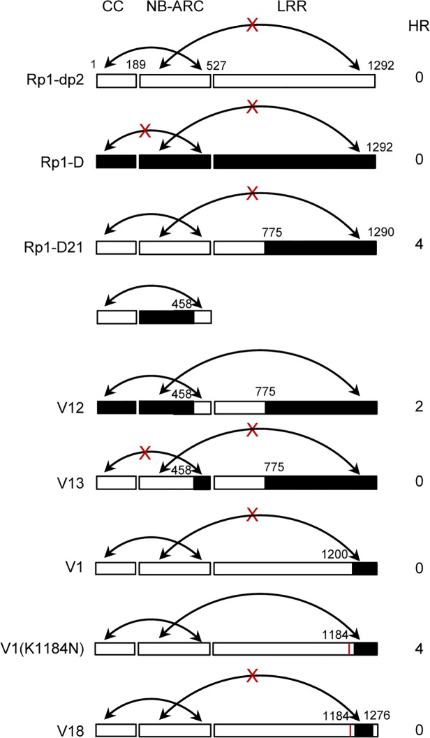 Fig 10