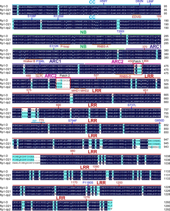 Fig 1