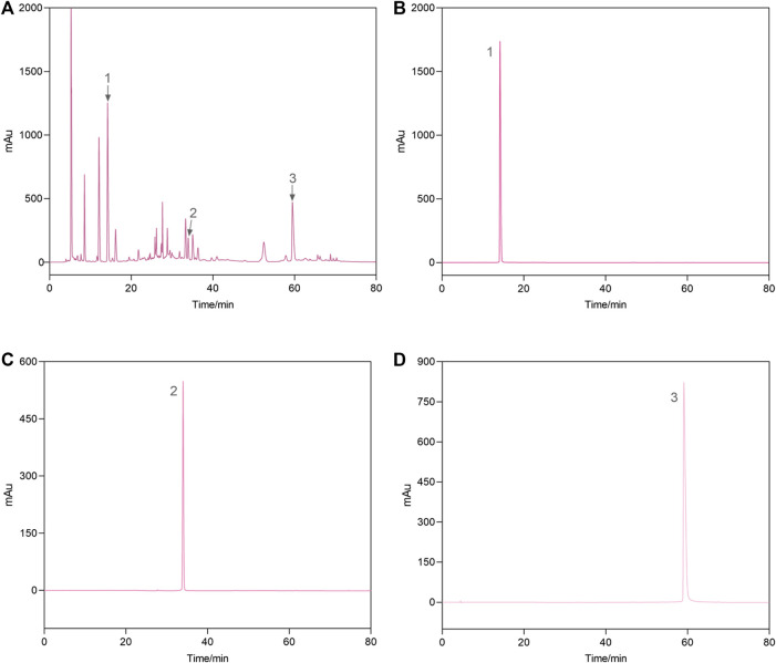 FIGURE 2