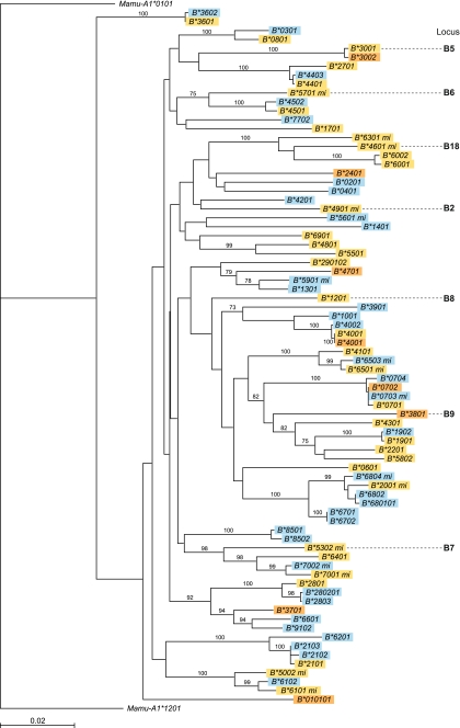 Fig. 1