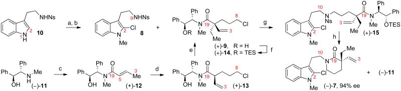 Scheme 2