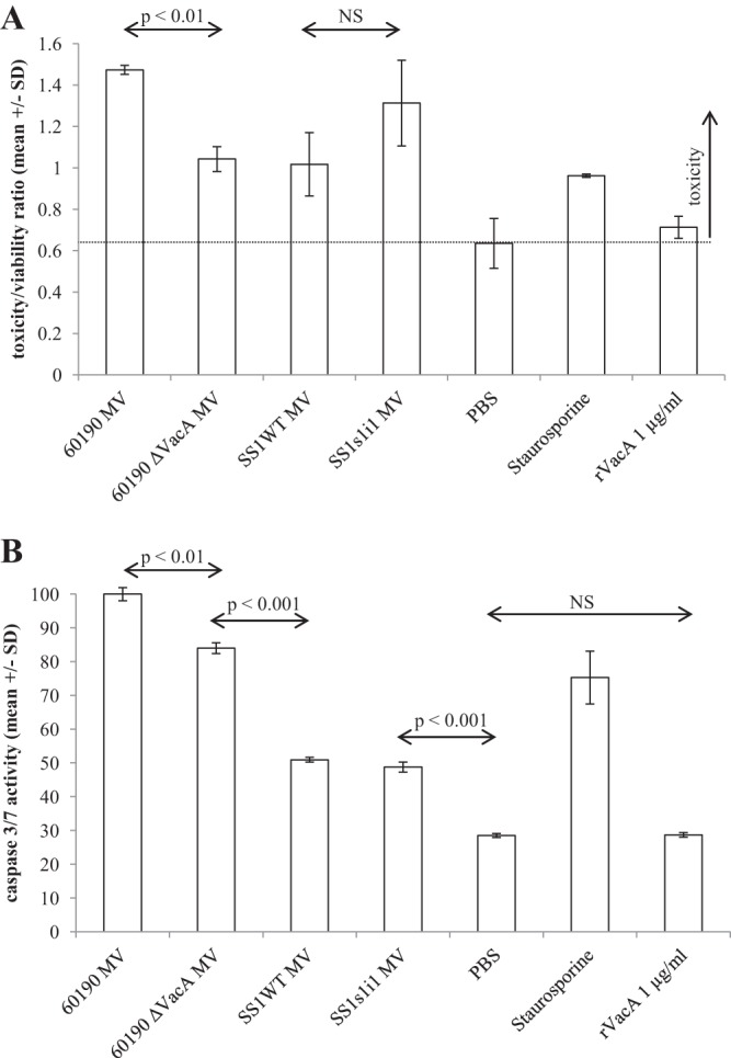 FIG 6