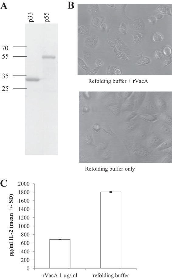 FIG 7