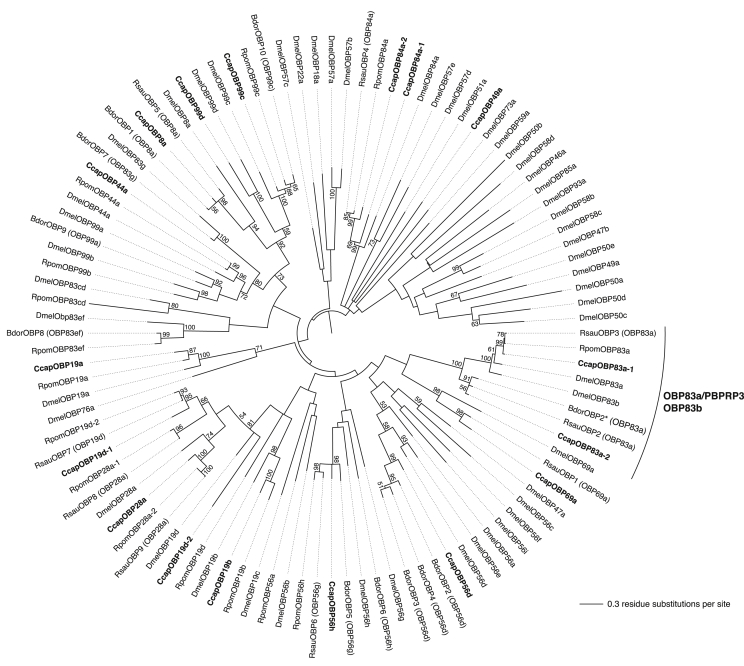 Fig. 3