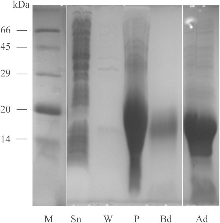 Fig. 4