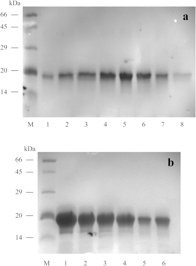 Fig. 6