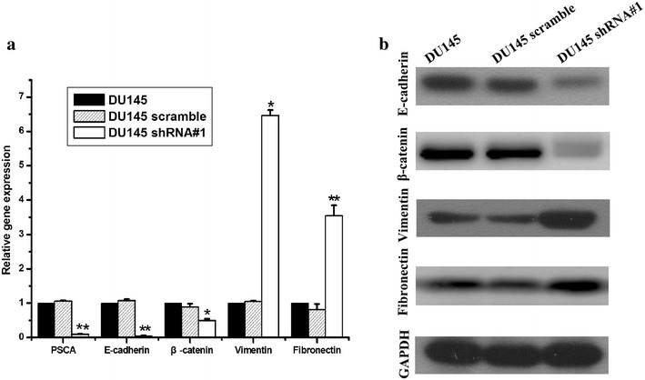 Fig. 8