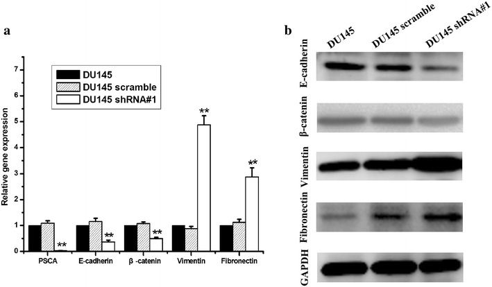 Fig. 11